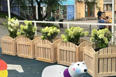 Скульптуру белого медведя украли у магазина «Урса» во Владивостоке