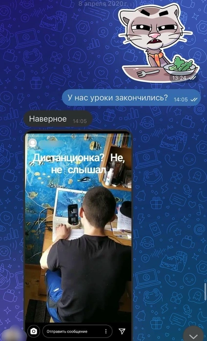 Безудержная учеба | Источник: личный архив