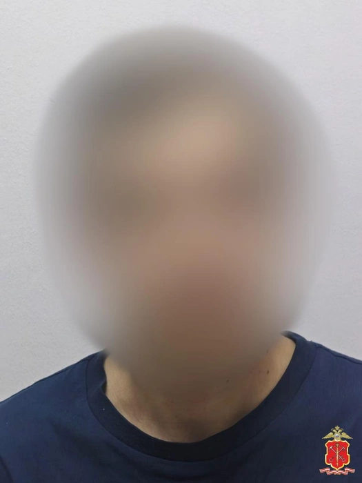 Курьера мошенников поймали после обмана пожилой петербурженки. Та согласилась на замену домофона | Источник: Официальный телеграмм-канал ГУ МВД России по Санкт-Петербургу и Ленинградской области