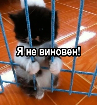 Источник: соцсети