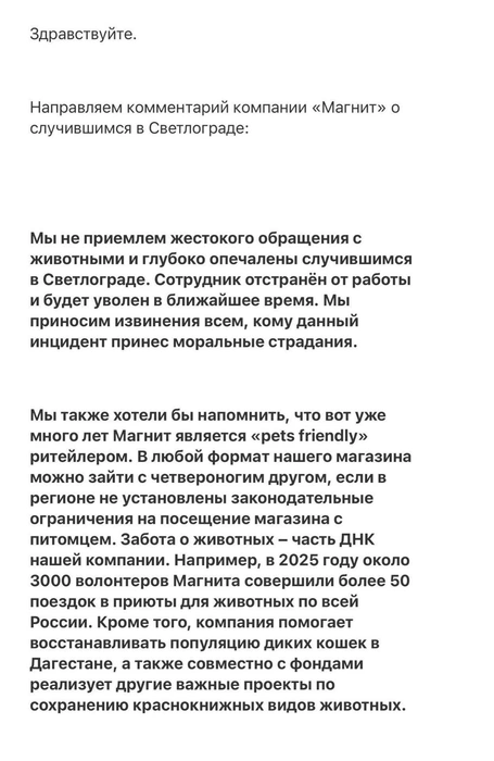 Текст письма | Источник: Приют безнадзорных животных «Лучший друг» / Telegram