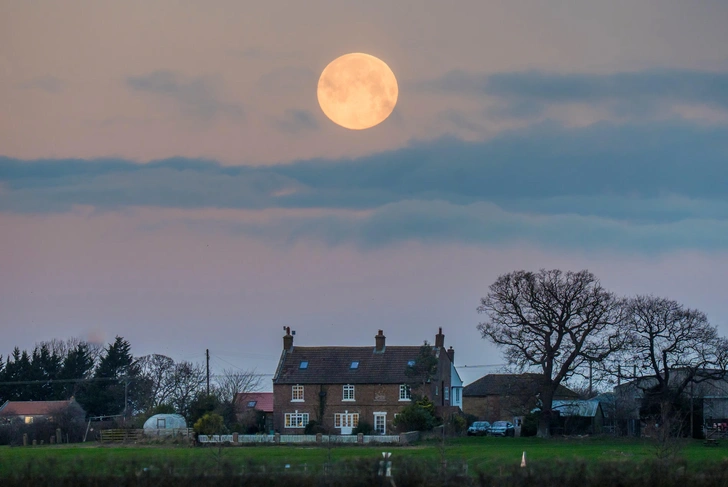Первое в 2026 году суперлуние произошло на Земле — фотографы поделились завораживающими снимками