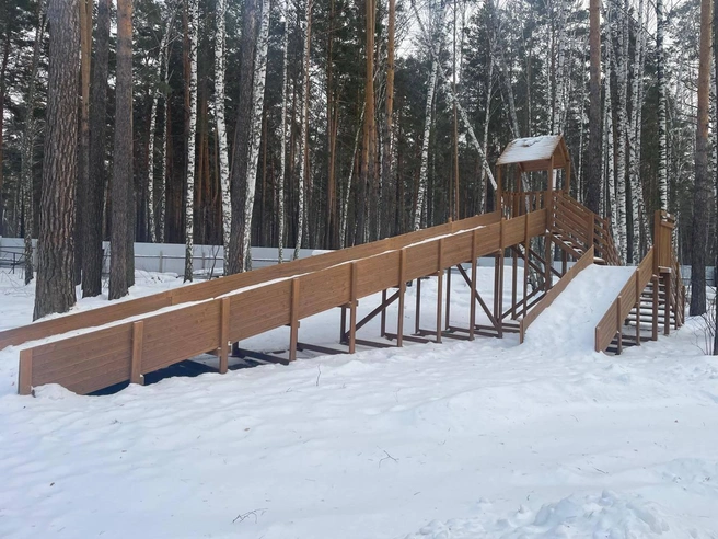 Позвольте себе встретить Новый год по-настоящему необычно | Источник: ИП Попкова Евгения Евгеньевна