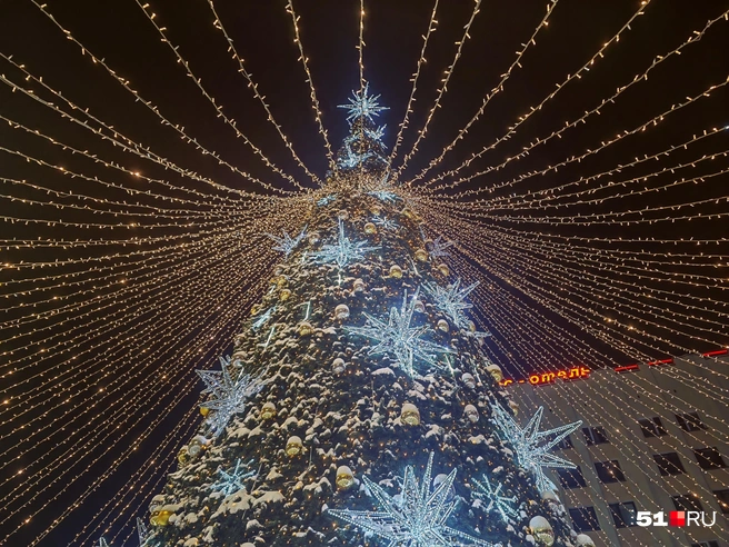 Источник: Юлия Кузнецова / 51.RU