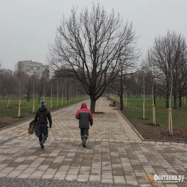 Источник: Михаил Огнев / «Фонтанка.ру»