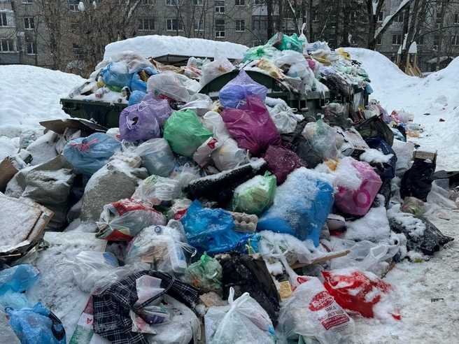 Обстановка с мусором на улице Козицкого стала практически неуправляемой. | Источник: No Name / Vk.com