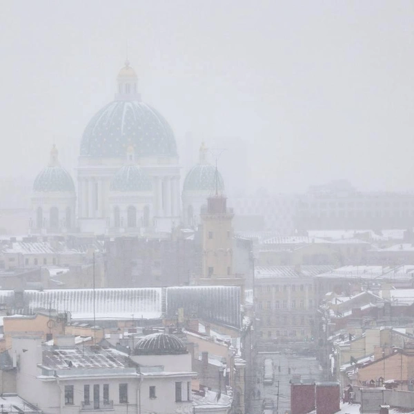 Источник: Сергей Михайличенко/«Фонтанка.ру»