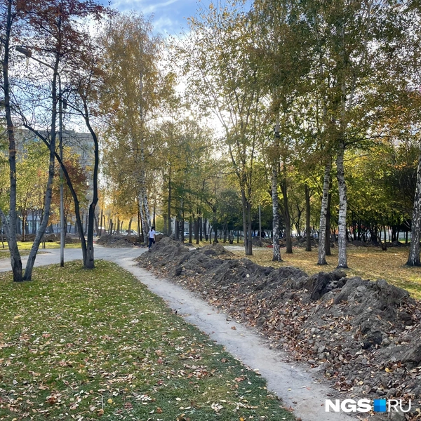 Вдоль дорожек вырыты траншеи | Источник: Алёна Золотухина / NGS.RU