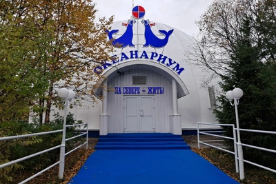 Океанариум Мурманска начал продажу билетов на шоу