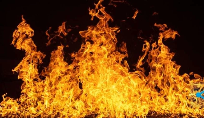 При обнаружении возгорания нужно незамедлительно сообщить по телефонам экстренных служб | Источник: nk-tv.com