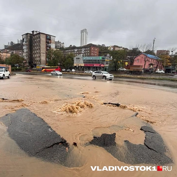 Источник: Елена Буйвол / VLADIVOSTOK1.RU