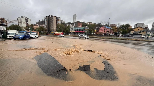 Источник: Елена Буйвол / VLADIVOSTOK1.RU