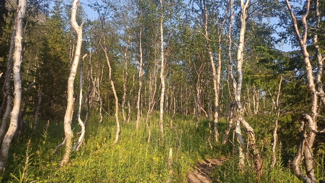 Источник: архив Эльвиры Айнетдиновой