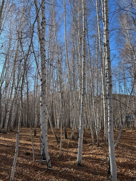 Источник: Сергей Блошкин