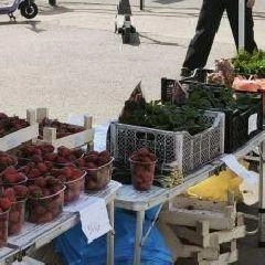 Источник: www.city-n.ru