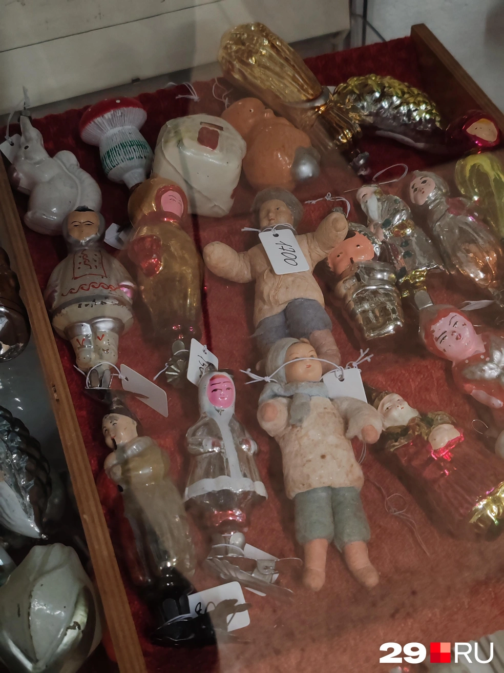 Источник: Елена Ионайтис / 29.RU