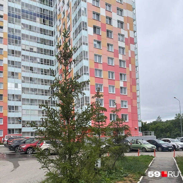 Источник: читатель 59.RU