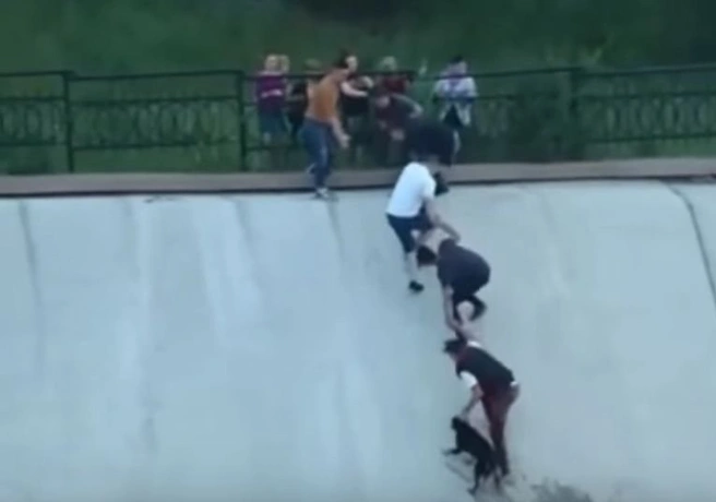 В Казахстане прохожие спасли тонущего пса (видео) | ya62.ru