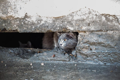 Погода в Иркутске после праздников: днем тепло