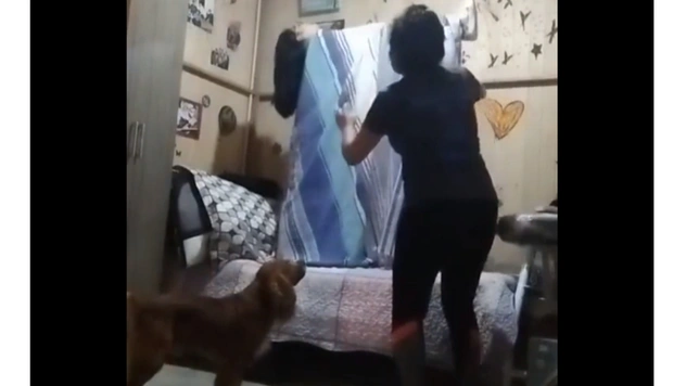 Идея для розыгрыша: как сделать вид, будто ты левитируешь во сне (видео)