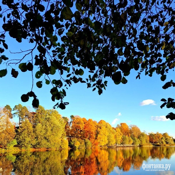 Источник: читатель «Фонтанки»