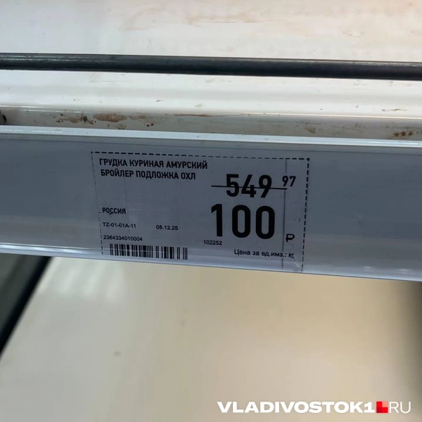 Источник: Елена Буйвол / VLADIVOSTOK1.RU