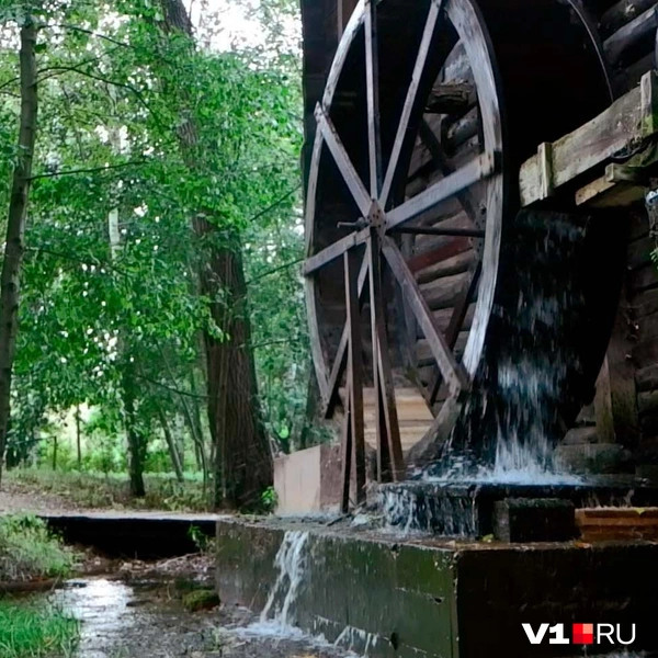 Источник: Илья Воробушкин / V1.RU