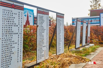 Ольга Петрухина и ее семья приводили территорию в порядок всё лето | Источник: Роман Данилкин / 63.RU