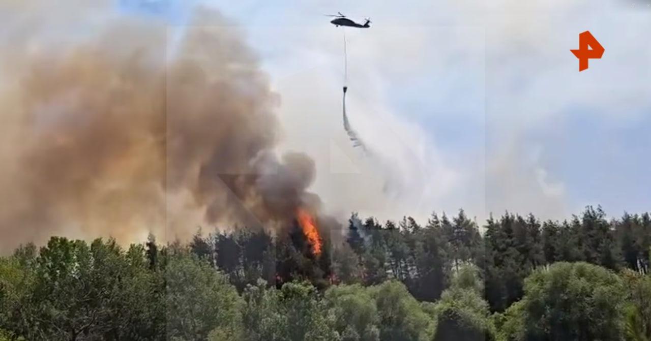 В Турции бушуют пожары: пермячка рассказала, что происходит в крупном курортном городе, куда вплотную подобрался огонь