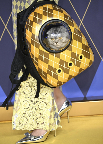 Супермодель Клаудия Шиффер пришла на премьеру фильма с котом в космической переноске