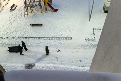 Труп мужчины найден в Академическом