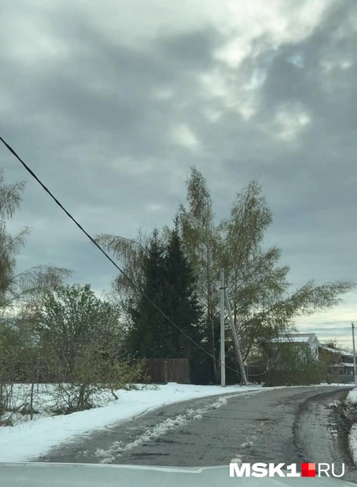 Оборванные линии электропередачи в Благовещенском Дмитровского городского округа | Источник: читатель MSK1.RU