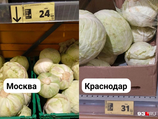 Килограмм капусты белокочанной в Краснодаре на 28% дороже  | Источник: Екатерина Железнова / 93.RU