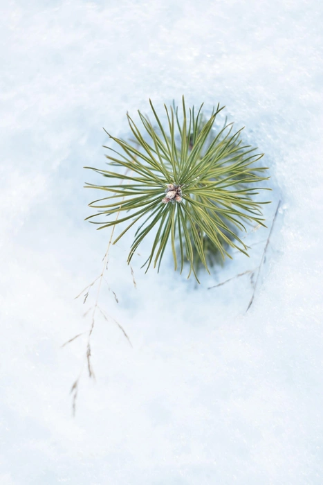 Источник: Анастасия Руднева / Vk.com