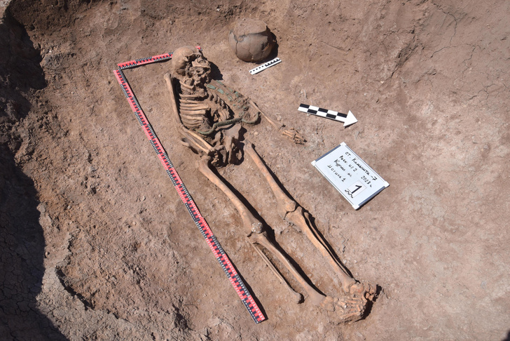 На скелете пояс колесничего — чем уникальна 3000-летняя могила, которую нашли в Хакасии