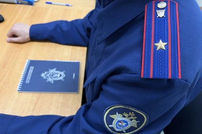 Жители Калмыкии осуждены за мошенничество с субсидиями