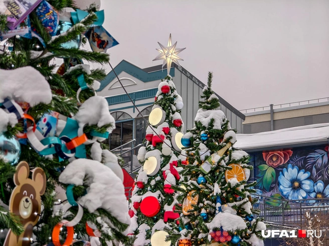 Много елок в центре | Источник: Булат Салихов / UFA1.RU