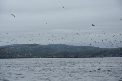 В Москве обсудили безопасность арктического судоходства