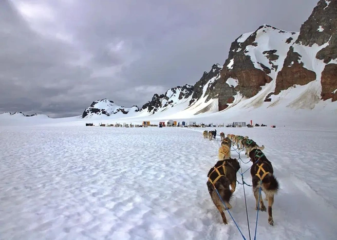 Источник: Peggy Wolffrum / photocontest.smithsonianmag.com