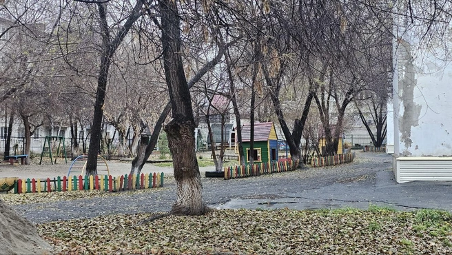 Источник: Дарья Никитченко / 45.RU