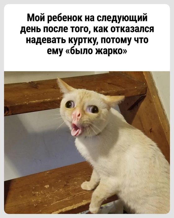 Начались эти покашливания | Источник: Городские медиа