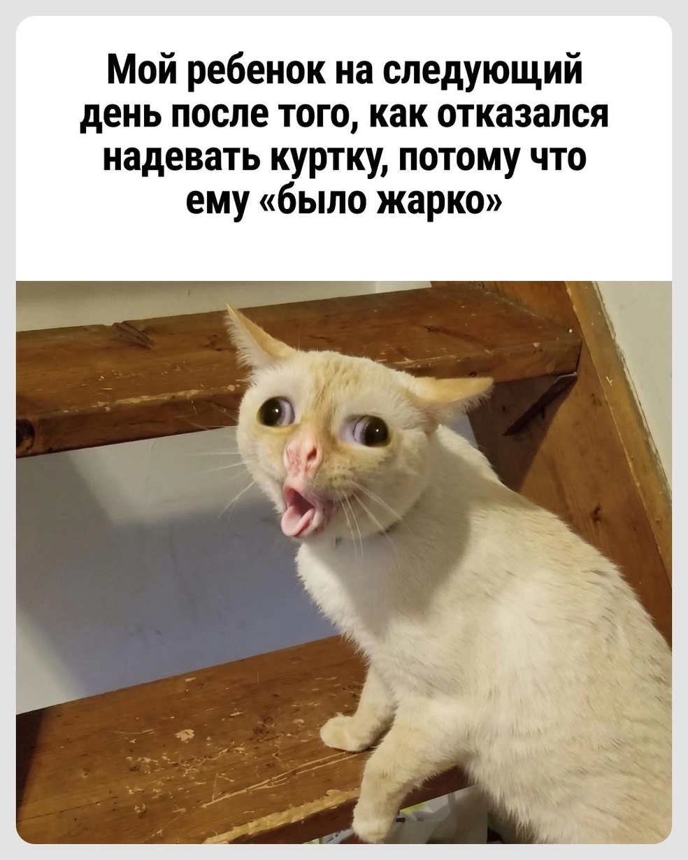 Начались эти покашливания | Источник: Городские медиа