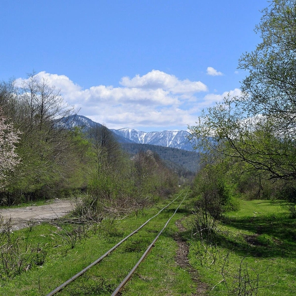 Источник: Alexander Novikov, CC BY-SA 4.0, via Wikimedia Commons