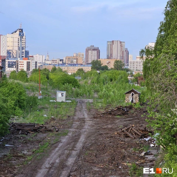 Источник: Даниил Румянцев / E1.RU