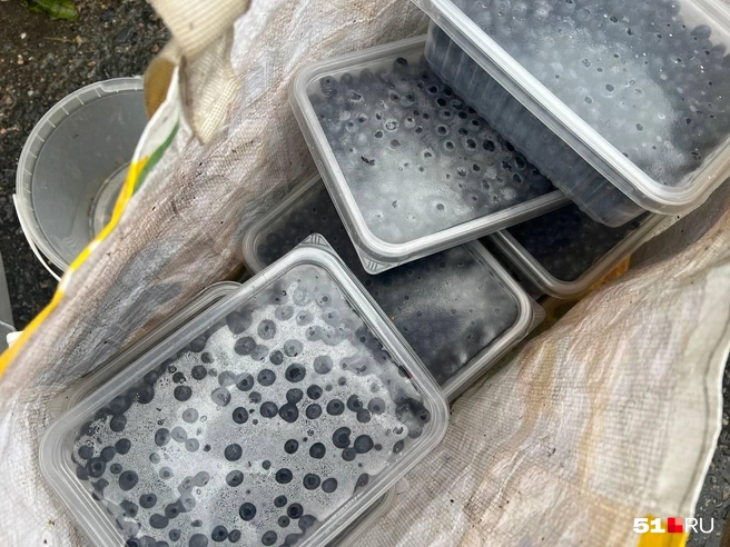 Источник: Александра Балаба