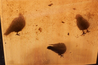 Самару ждут магнитные бури G1 в январе