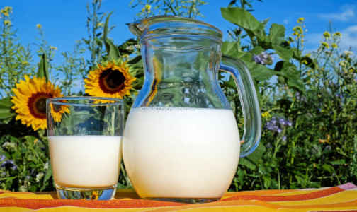 Ученые открыли новое необычное свойство молока