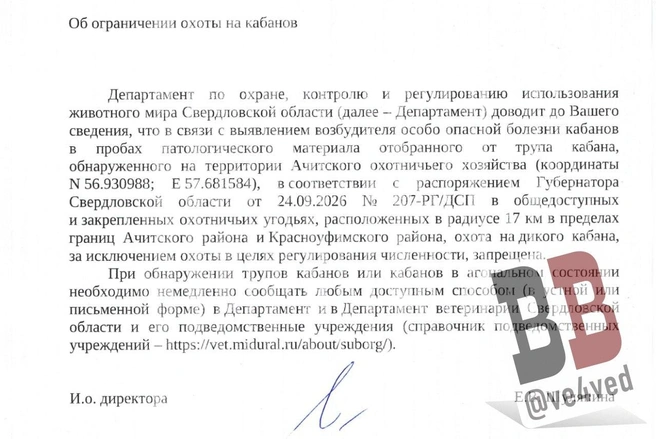 Журналисты сослались на документ, который выслали охотникам | Источник: «Вечерние ведомости»