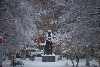 Морозная погода в Архангельской области