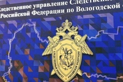 Следователи нашли пропавшую девочку из Кичменгского Городка